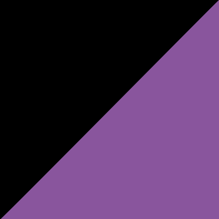 The Tradeshow Two-tone Tote Bag 5