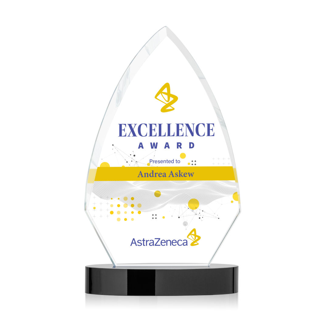 Idaho VividPrint™ Award - Black 14