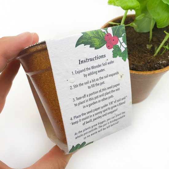 Season's Greenings Herb Seed Paper Sprouter Kits 4