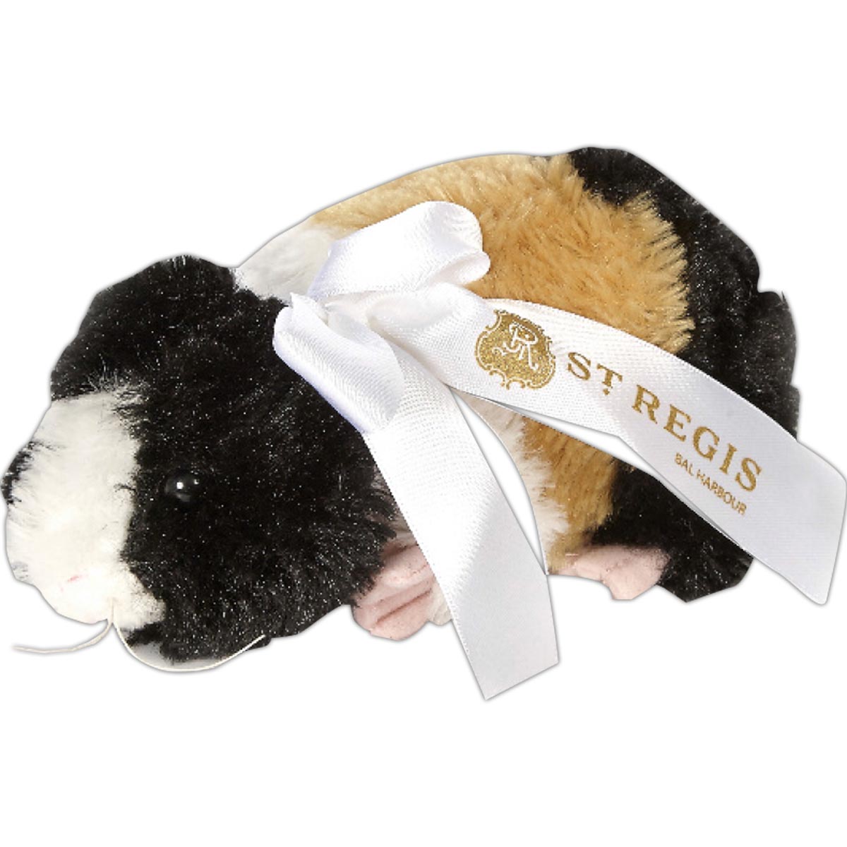 8" Guinea Pig 2