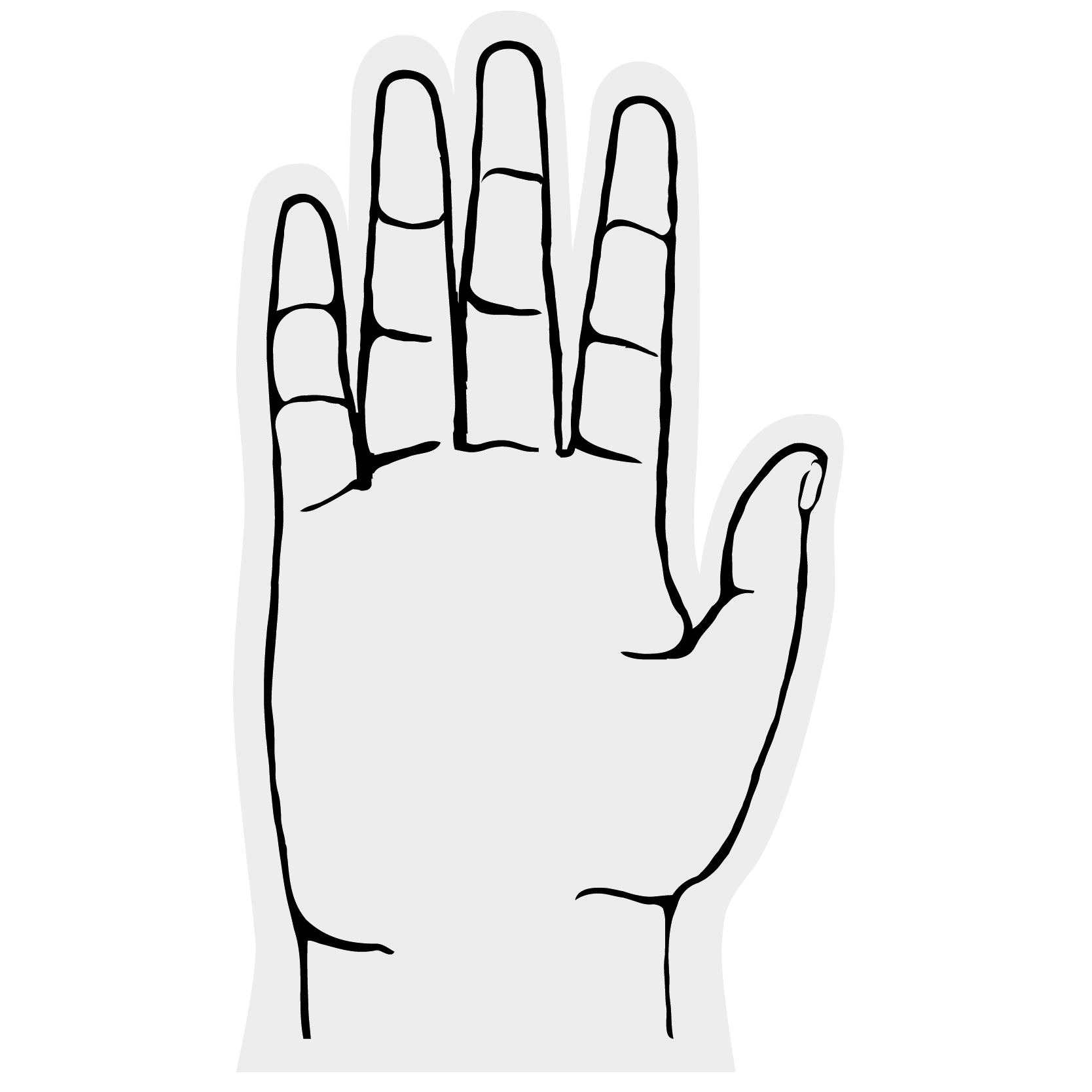 5 Finger Foam hand 6