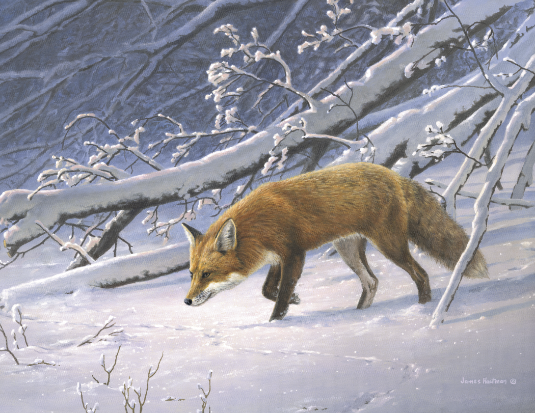 Triumph® Calendars Wildlife Art by the Hautman Brothers Calendar 27