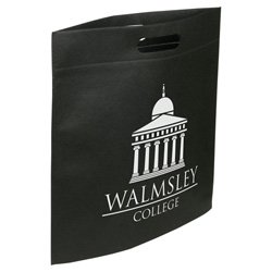 Echo Large Non-Woven Tote 29