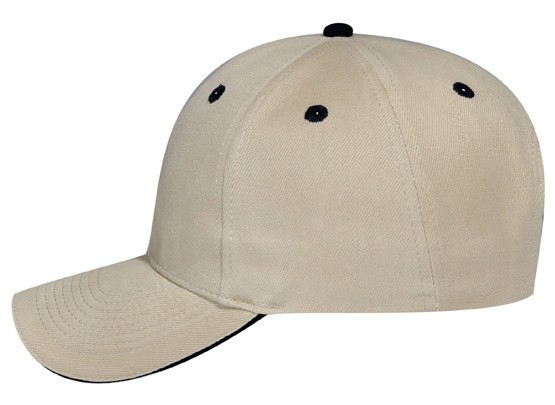 OTTO CAP® 6 Panel Low Profile Baseball Cap 27