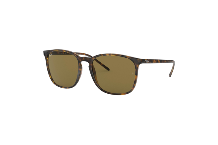 Ray-Ban RB4387 Sunglasses 1