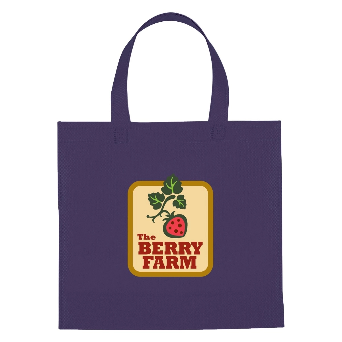 Non-Woven Mini Brochure Tote Bag 10