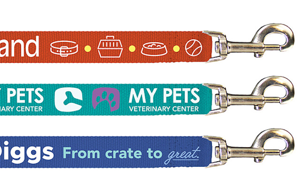Pantone Matched Leash