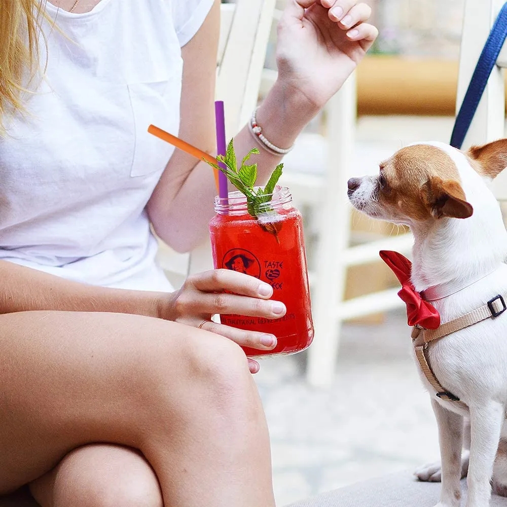 Silicone Straw 1
