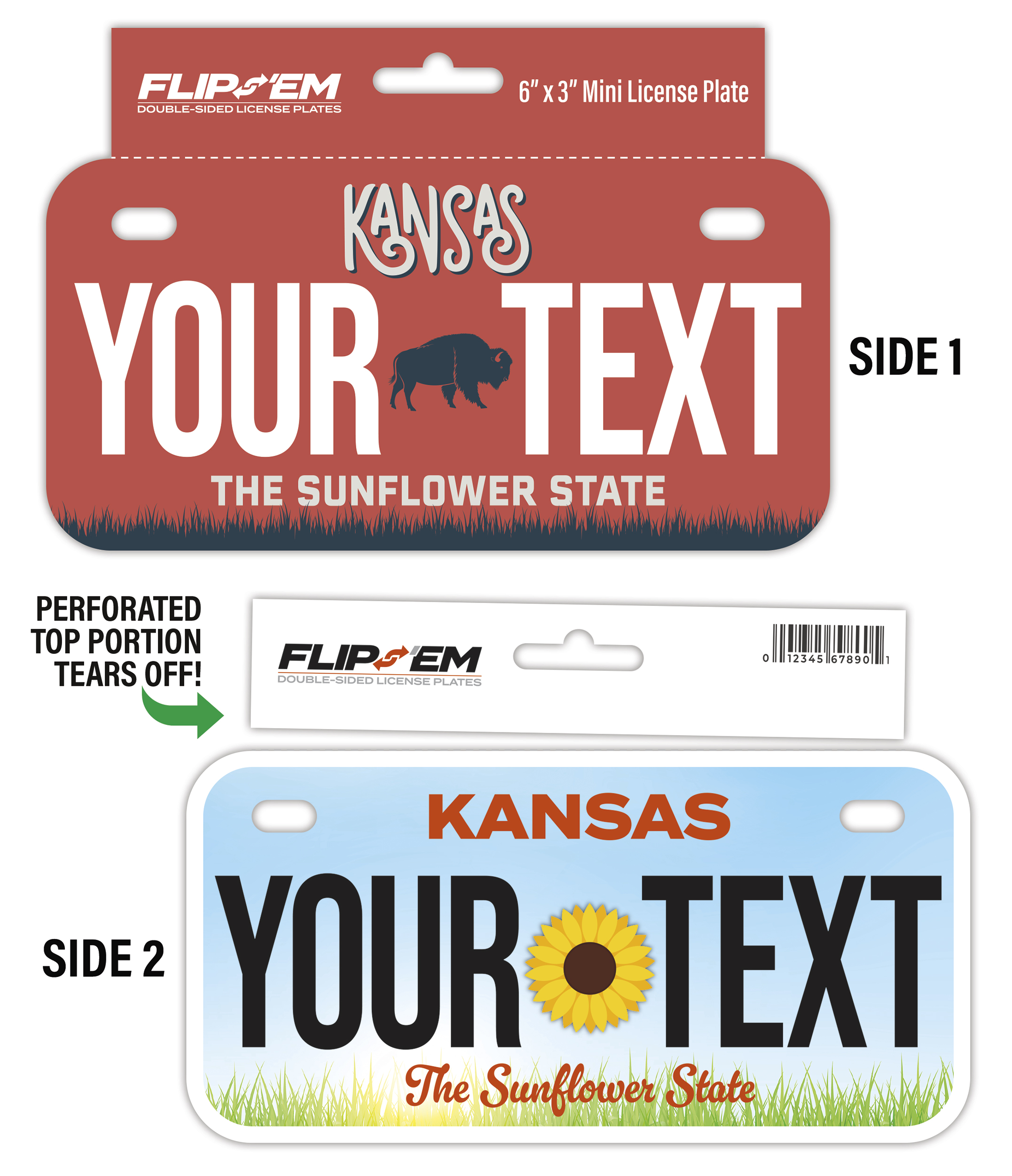6" x 3" Flip 'Em Double-Sided Tear-Off Mini License Plate with Hanger (6" x 4") 1