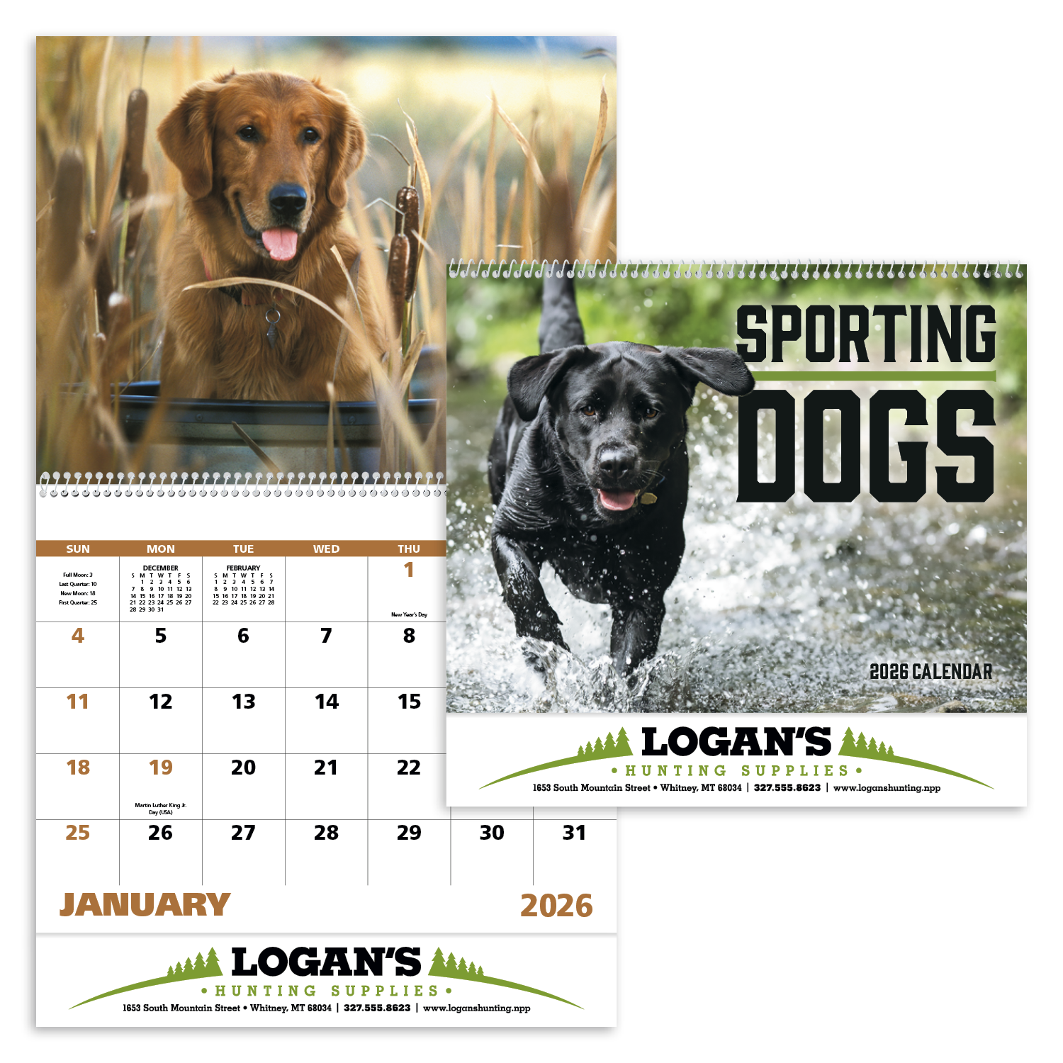 Good Value™ Sporting Dogs - Spiral Calendar 12