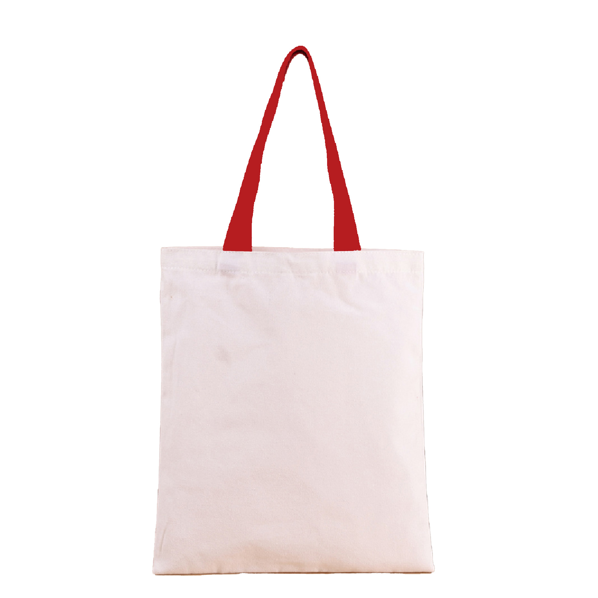 Shopping Cloth Bag 4