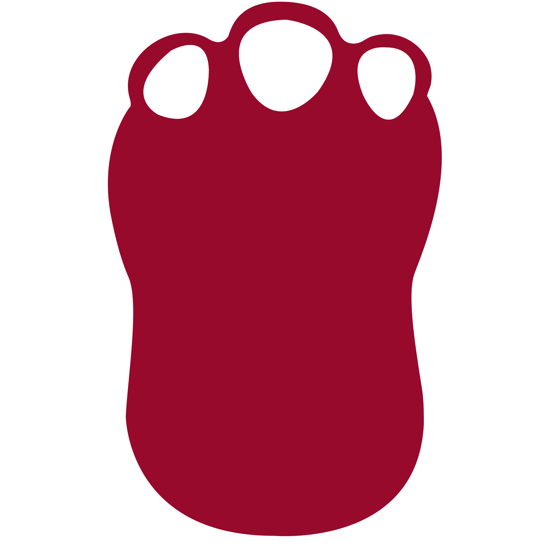Foam Dinosaur Foot Waver 13