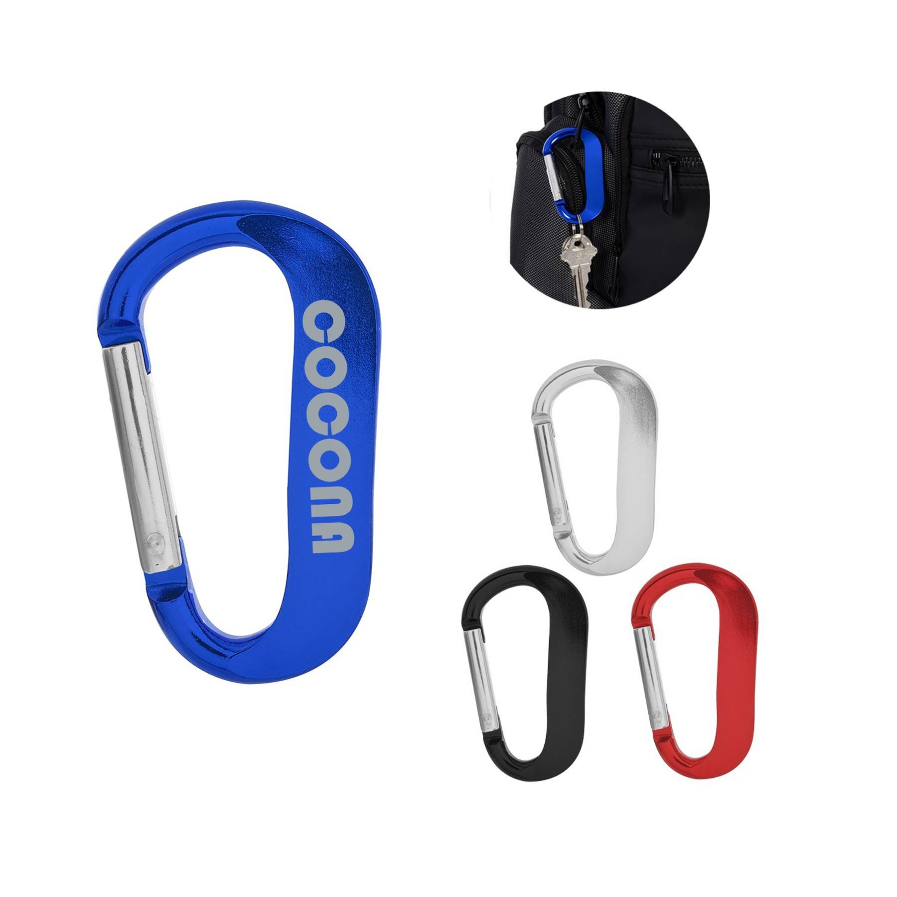 Carabiner Key Chain 1