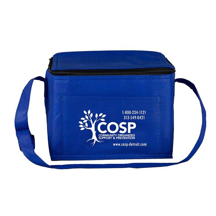 8" W x 6" D x 6" H - "Cool-It" Non-Woven Insulated Cooler Bag 12