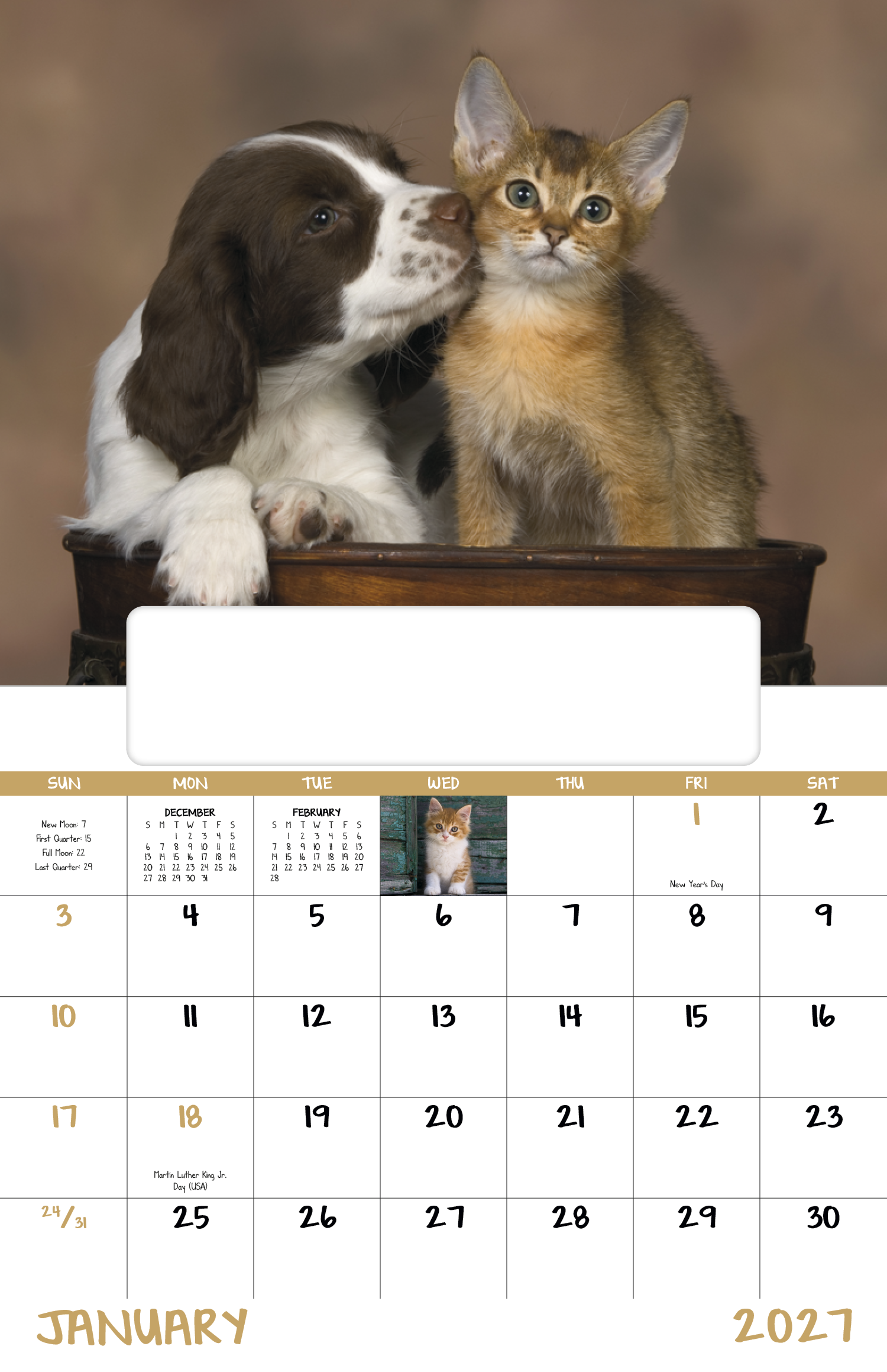 Good Value™ Puppies & Kittens - Window Calendar 64
