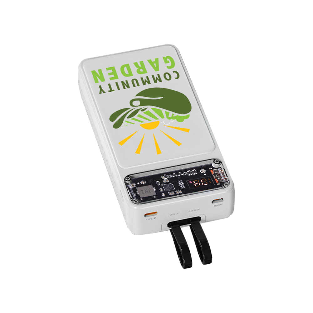 Winnetka Transparent Corded Power Bank 20000 5