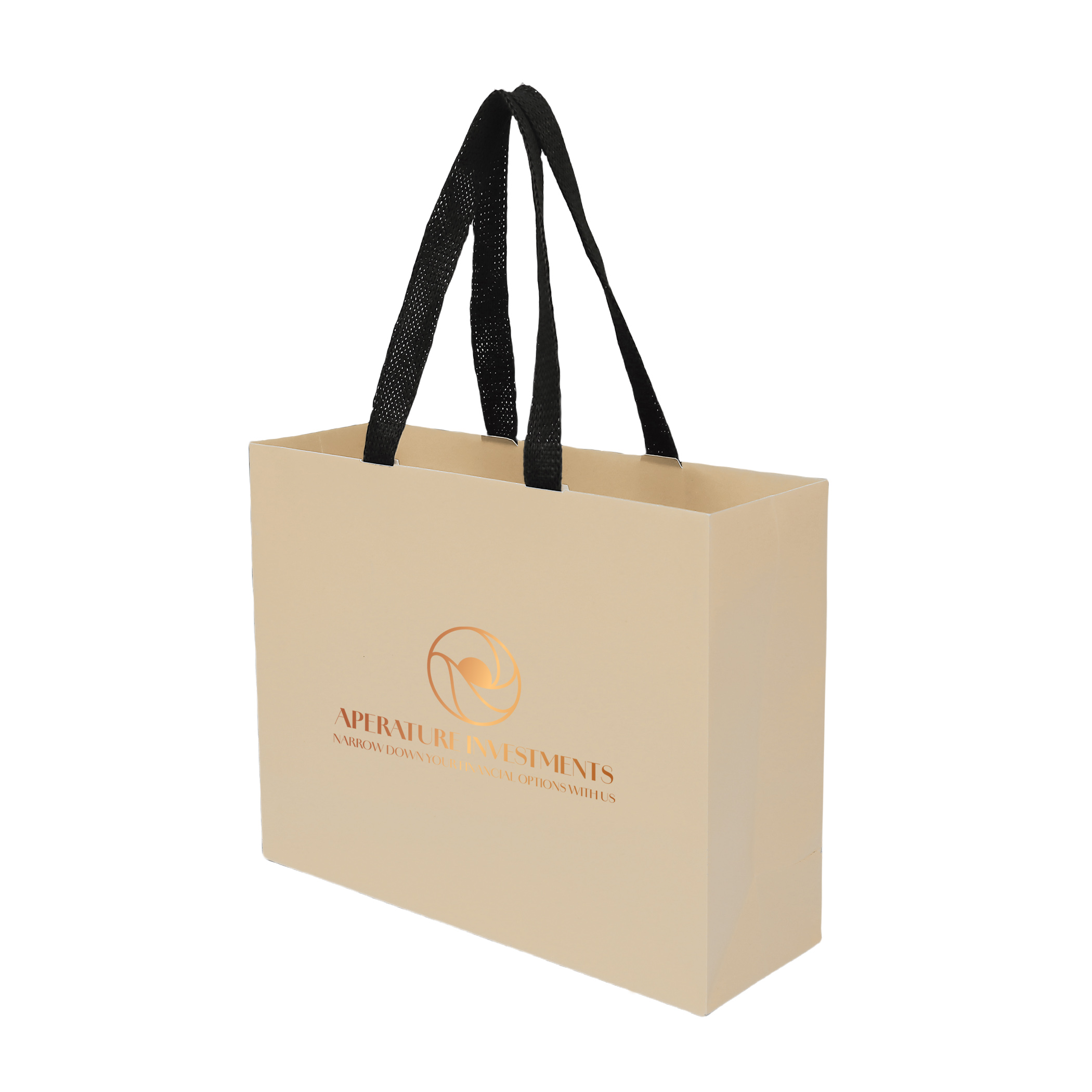 Sugarcane Paper Bag with Embedded Web Style Paper Handles - 3