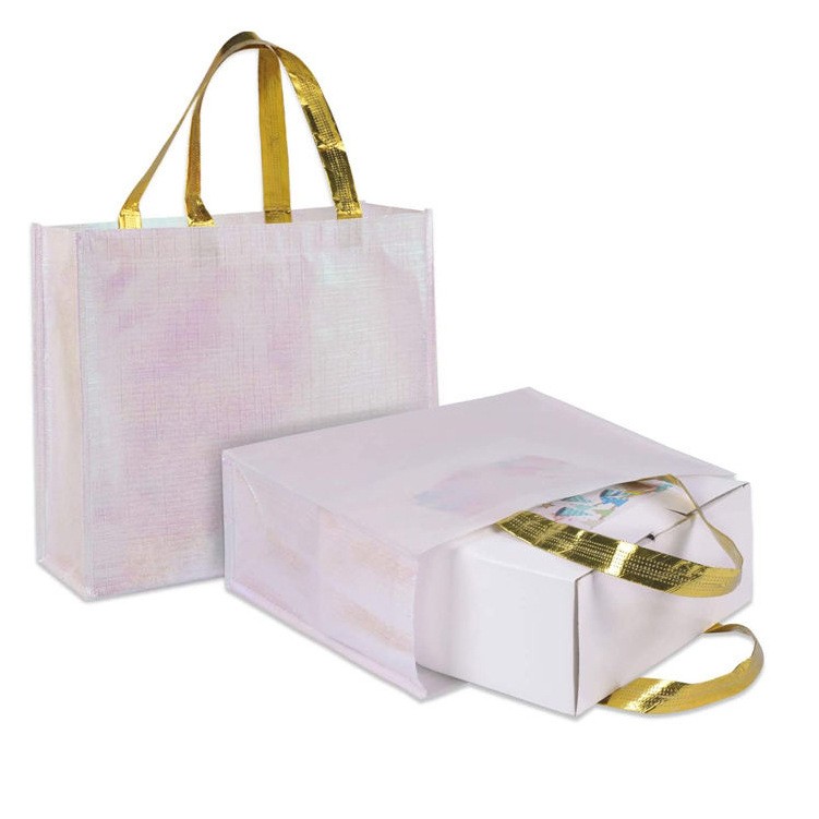 Holographic Non Woven Bag 1