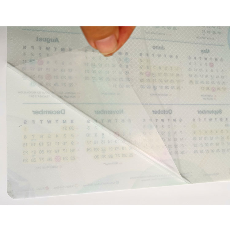 Adhesive Mouse Pad 5