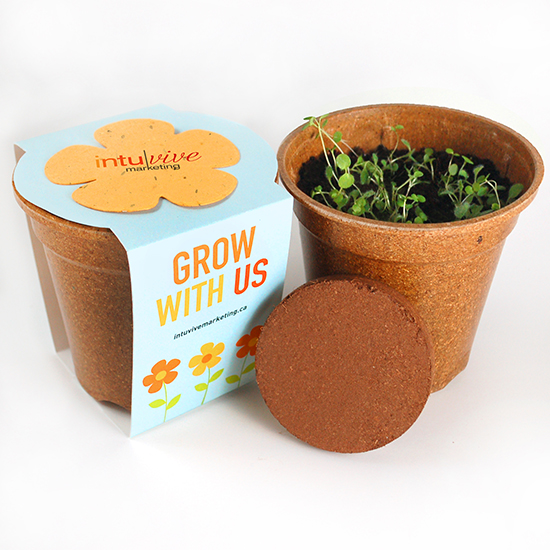Flower Power Seed Paper Sprouter Kits 2
