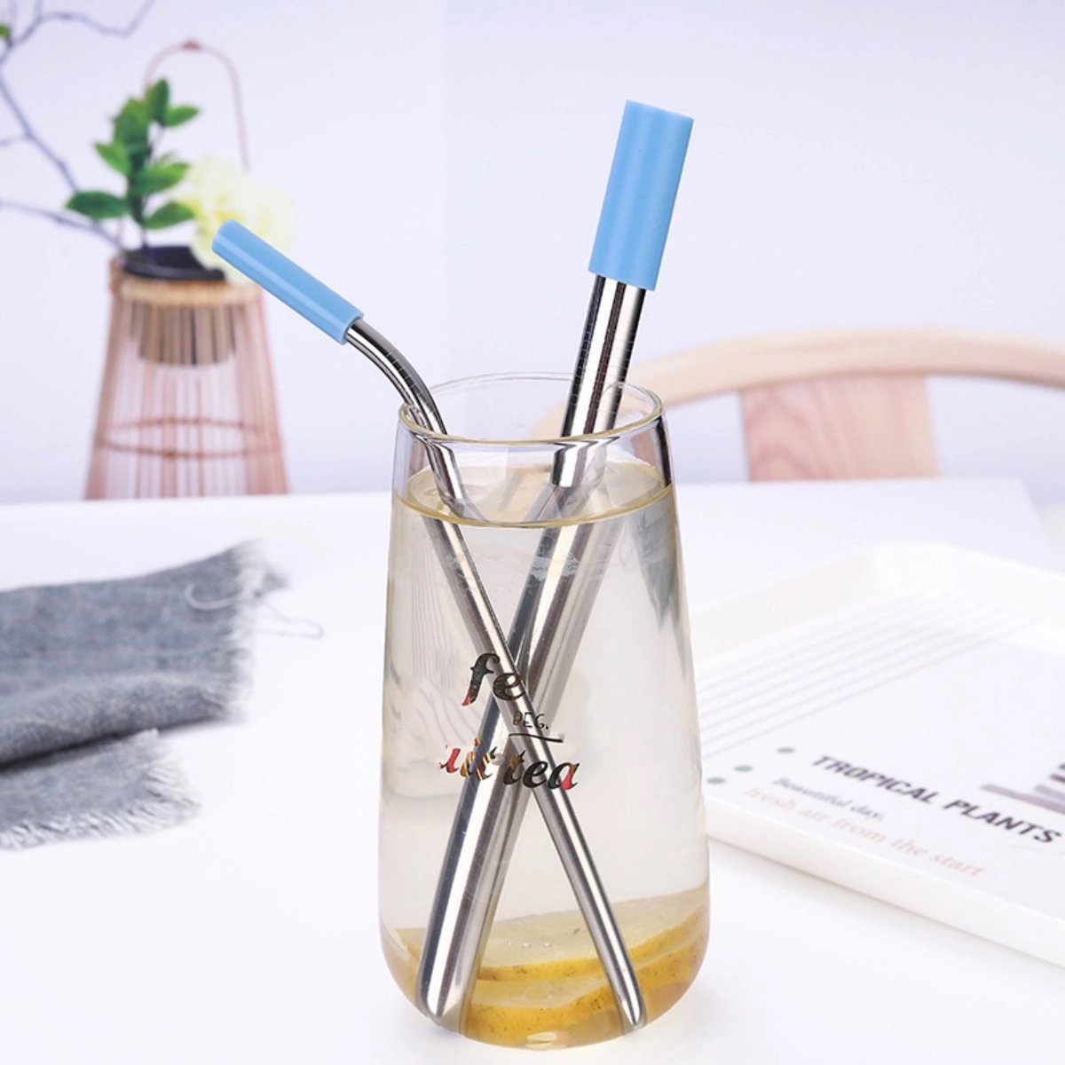 Metal Straws with Silicone Tips 4