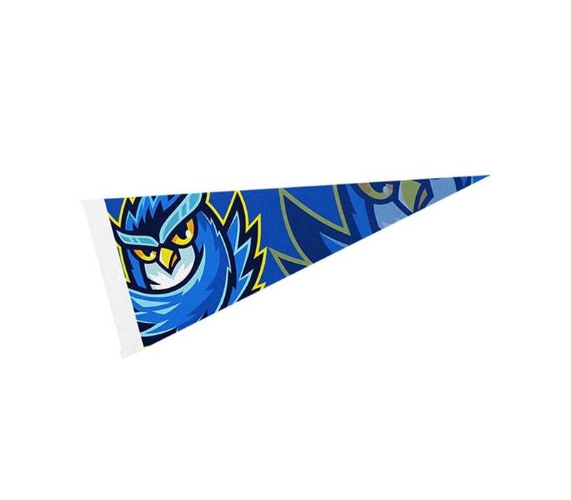 8" x 18" Full Color Felt Pennant Flag Banner 2