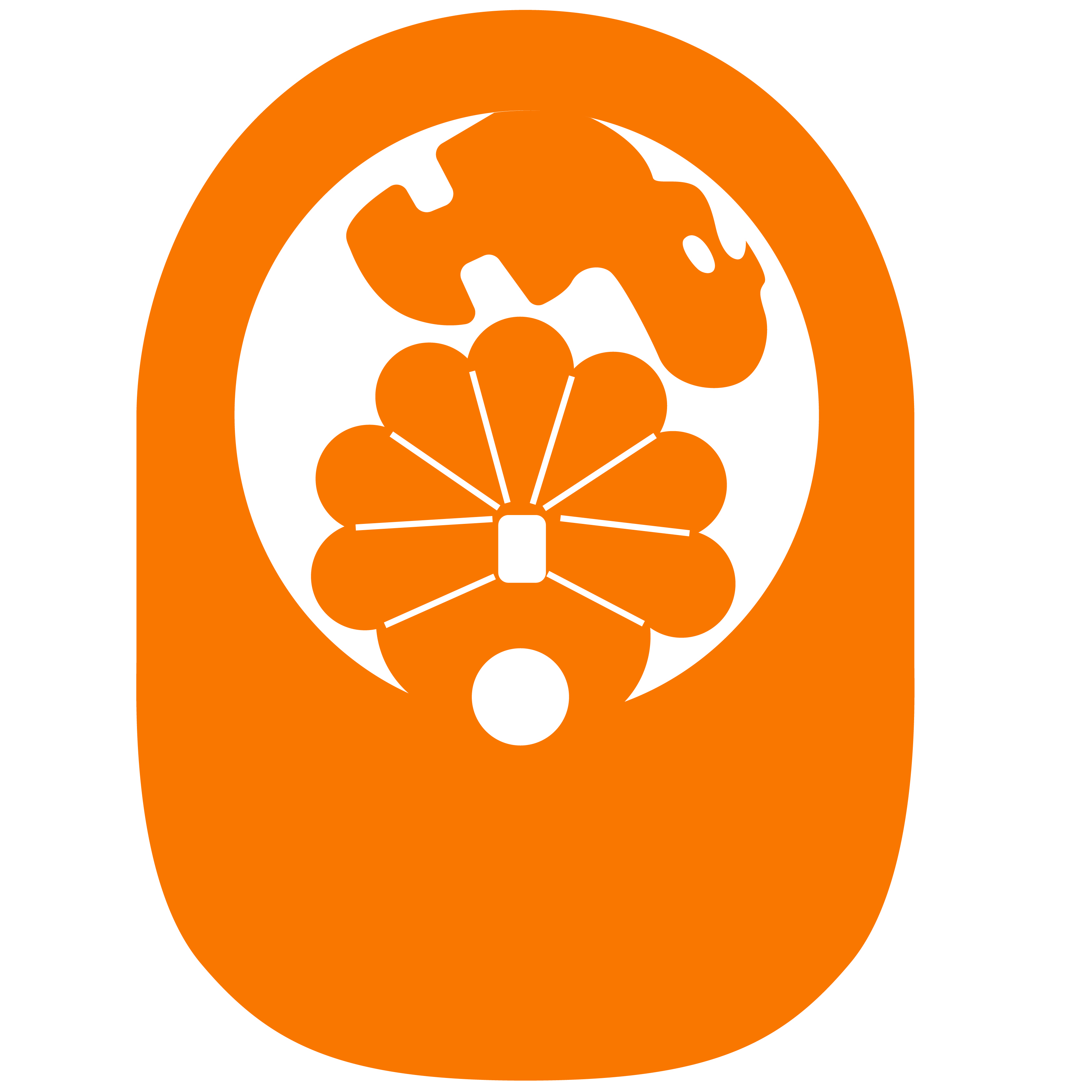Turkey PopUp Visor 10