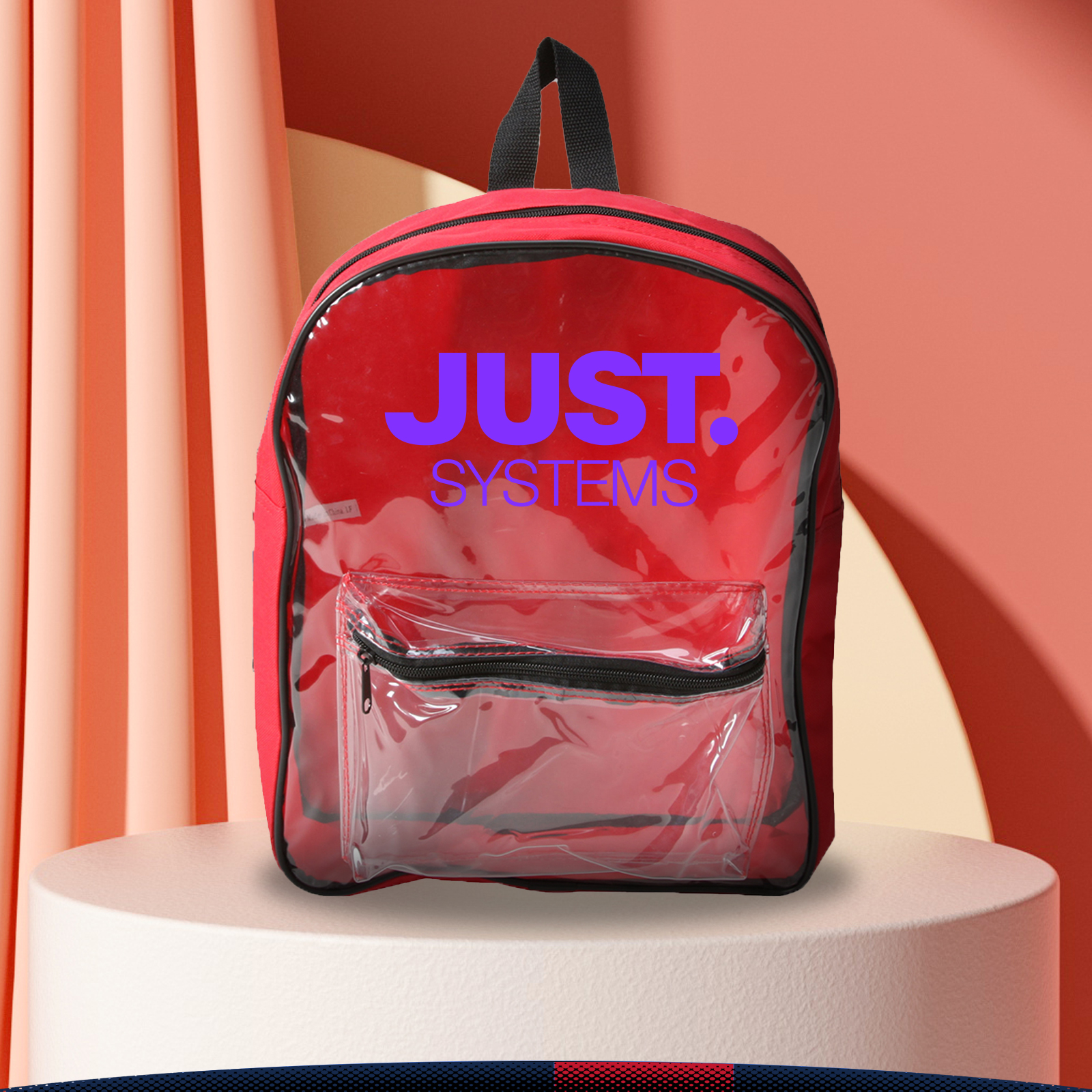 Yraic Clear Backpack 4