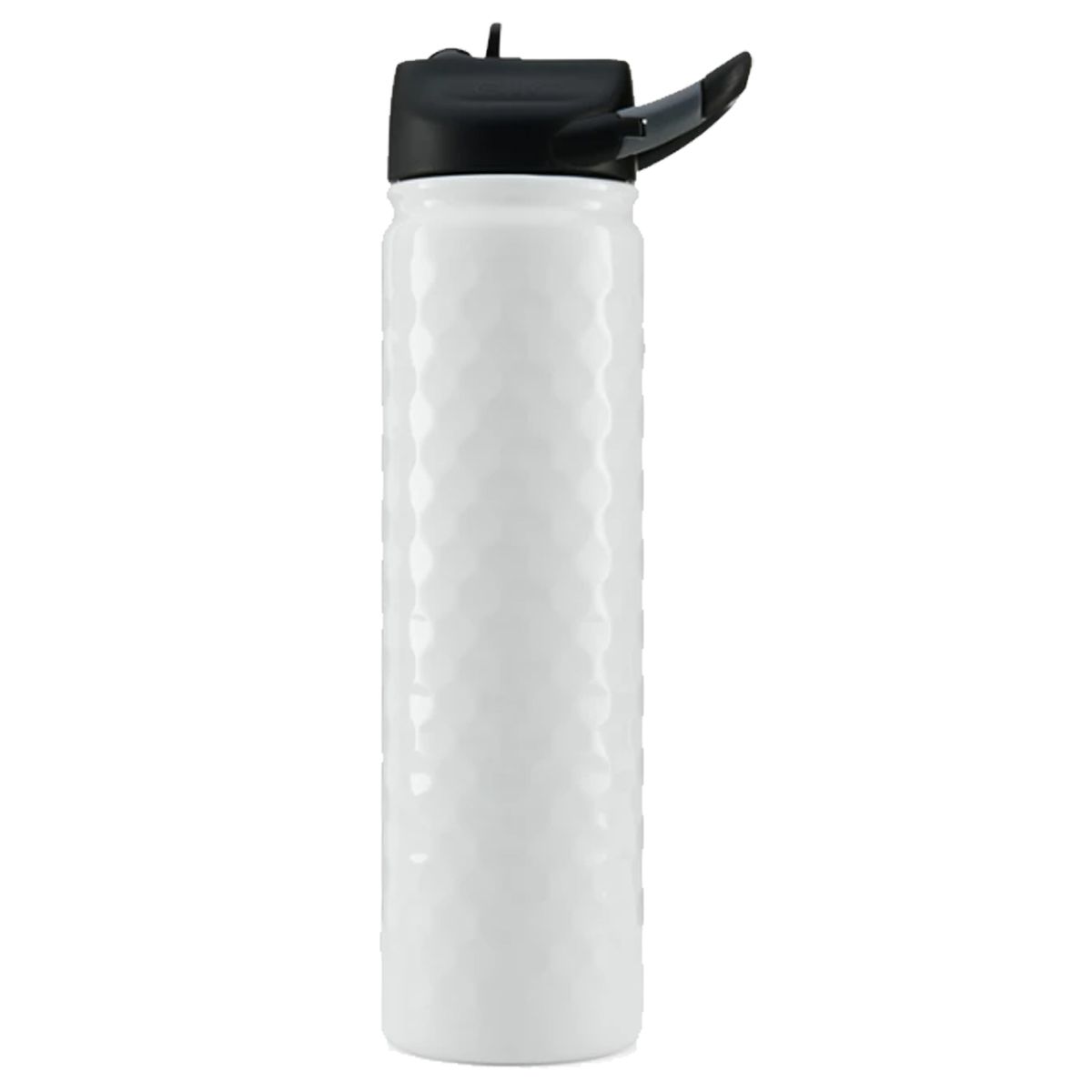 SIC 27oz Stainless Steel Bottle 17