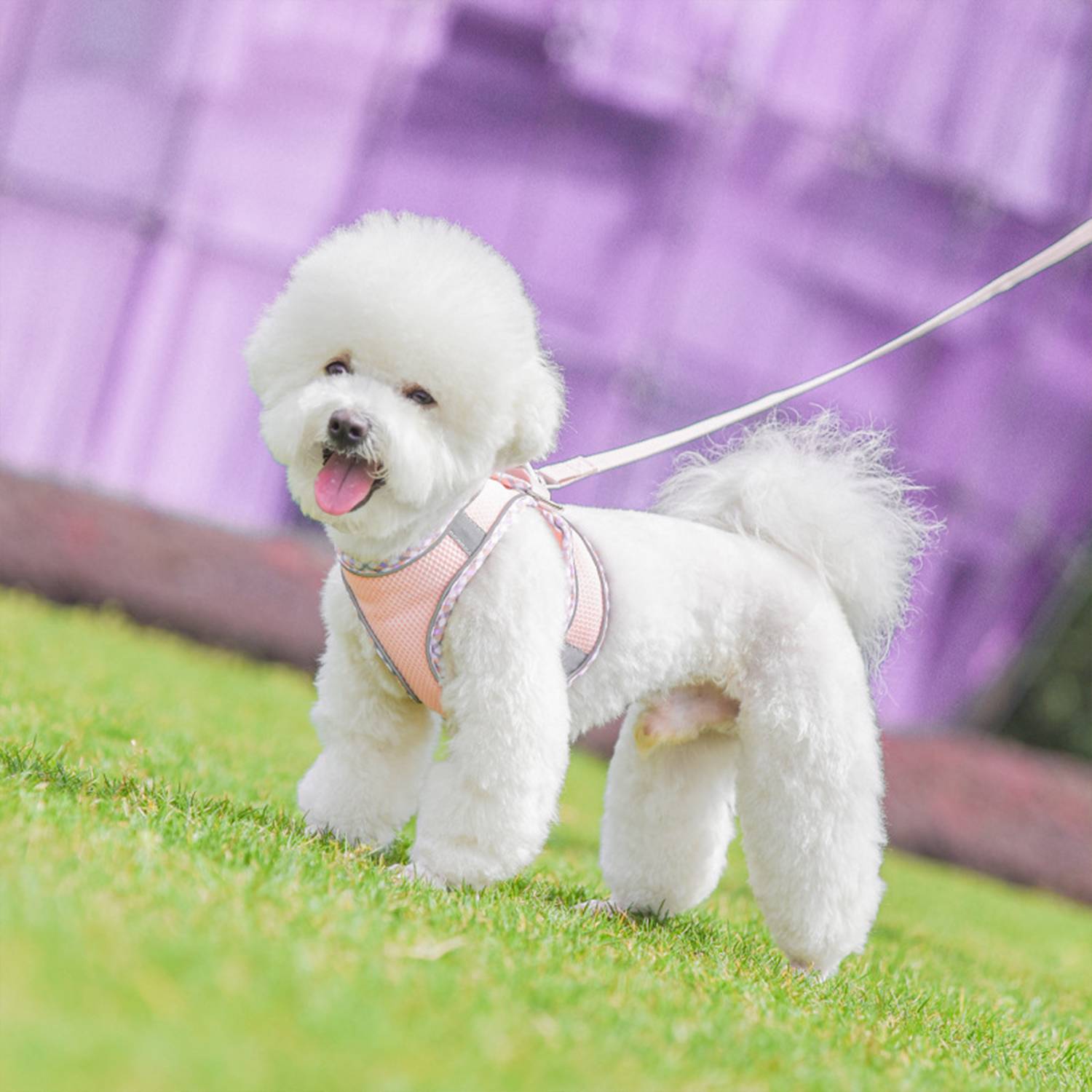 Pet Chest Harness With Reflective Plaid Hemming Dog Leash 11