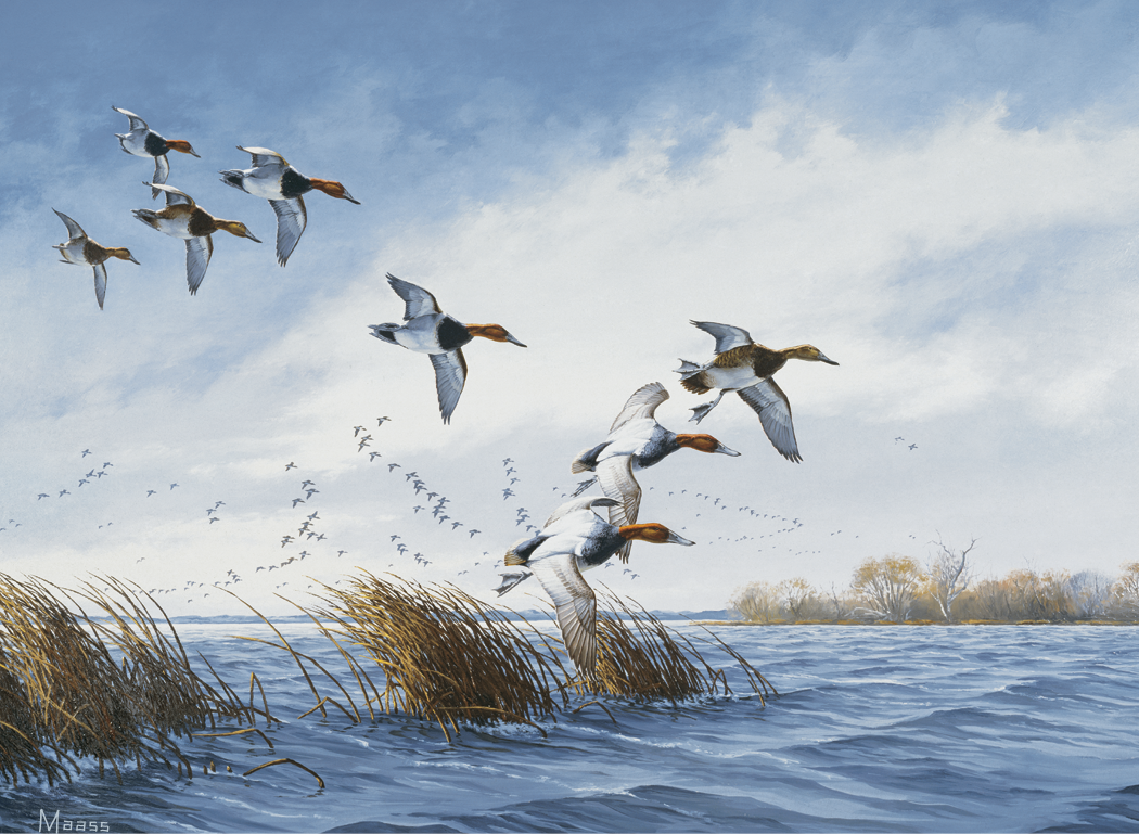 HotLine® Products Maass Wildfowl® Executive Calendar 39