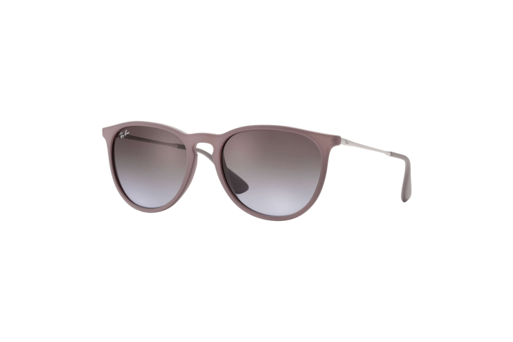 Ray-Ban Women's Erika Classic Sunglasses 1