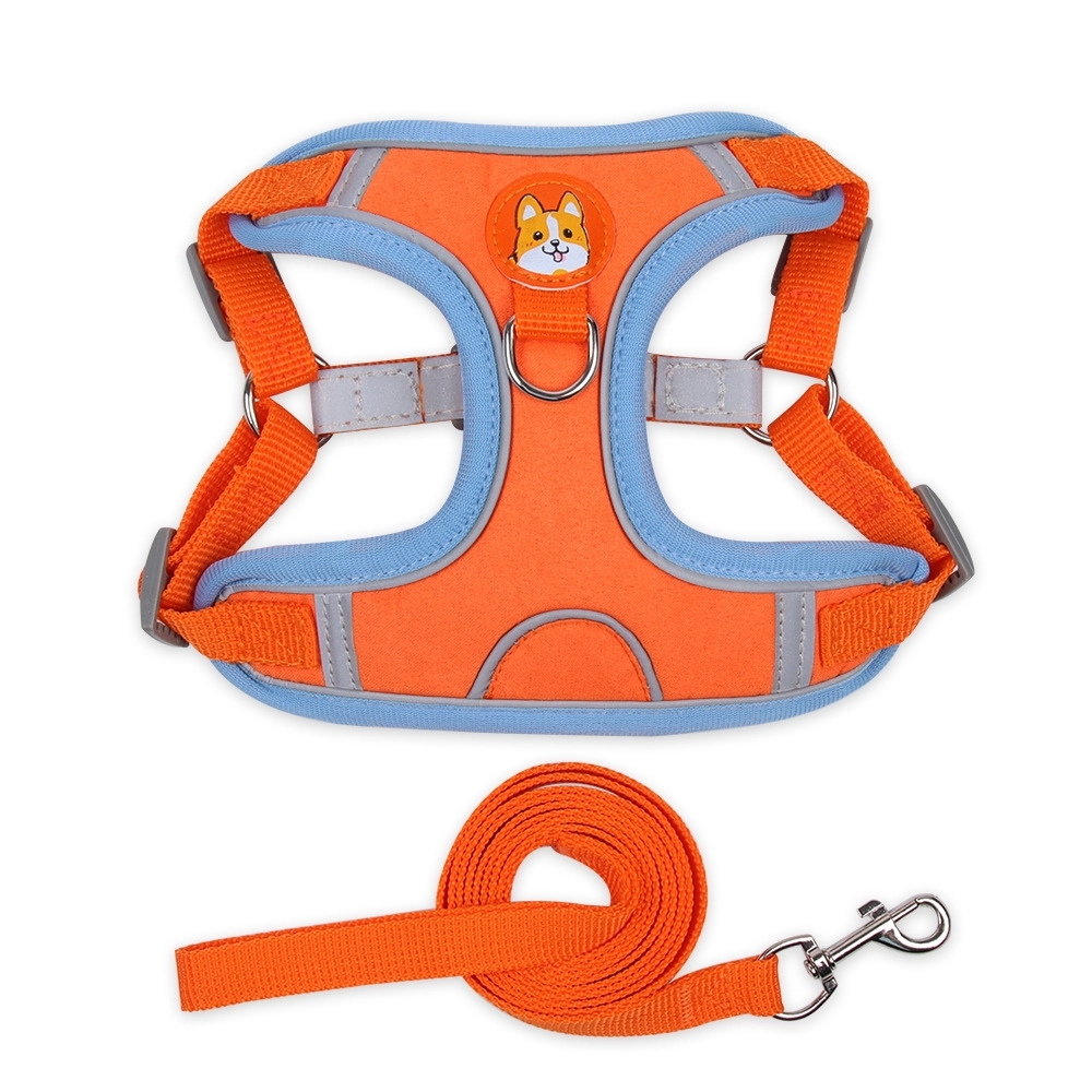 Pet Leashes and Collars 7
