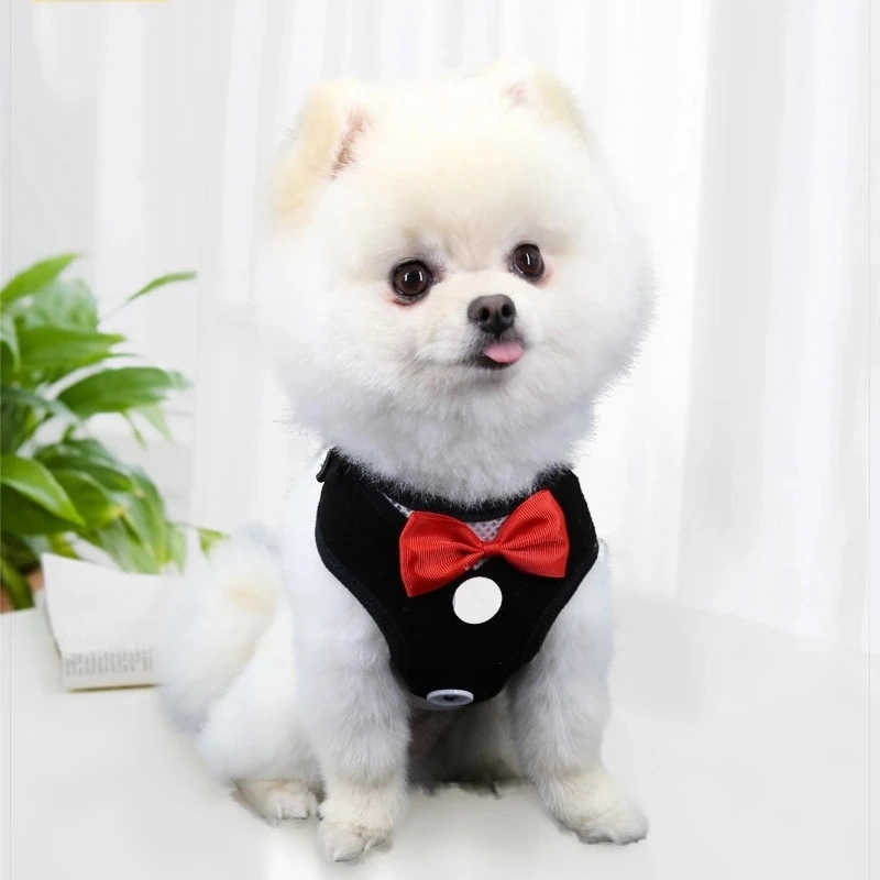 Elegant Bow Dog Collars Necktie Traction Rope Adjustable 5