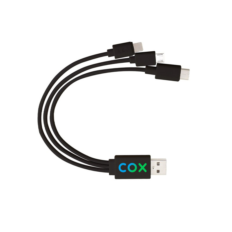 C3 Plus 4