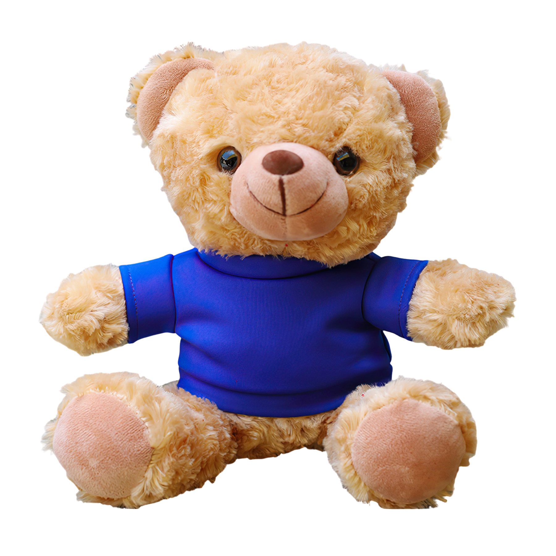 11'' Seated Style Stuffed Plush Teddy Beat With T-shirt 6