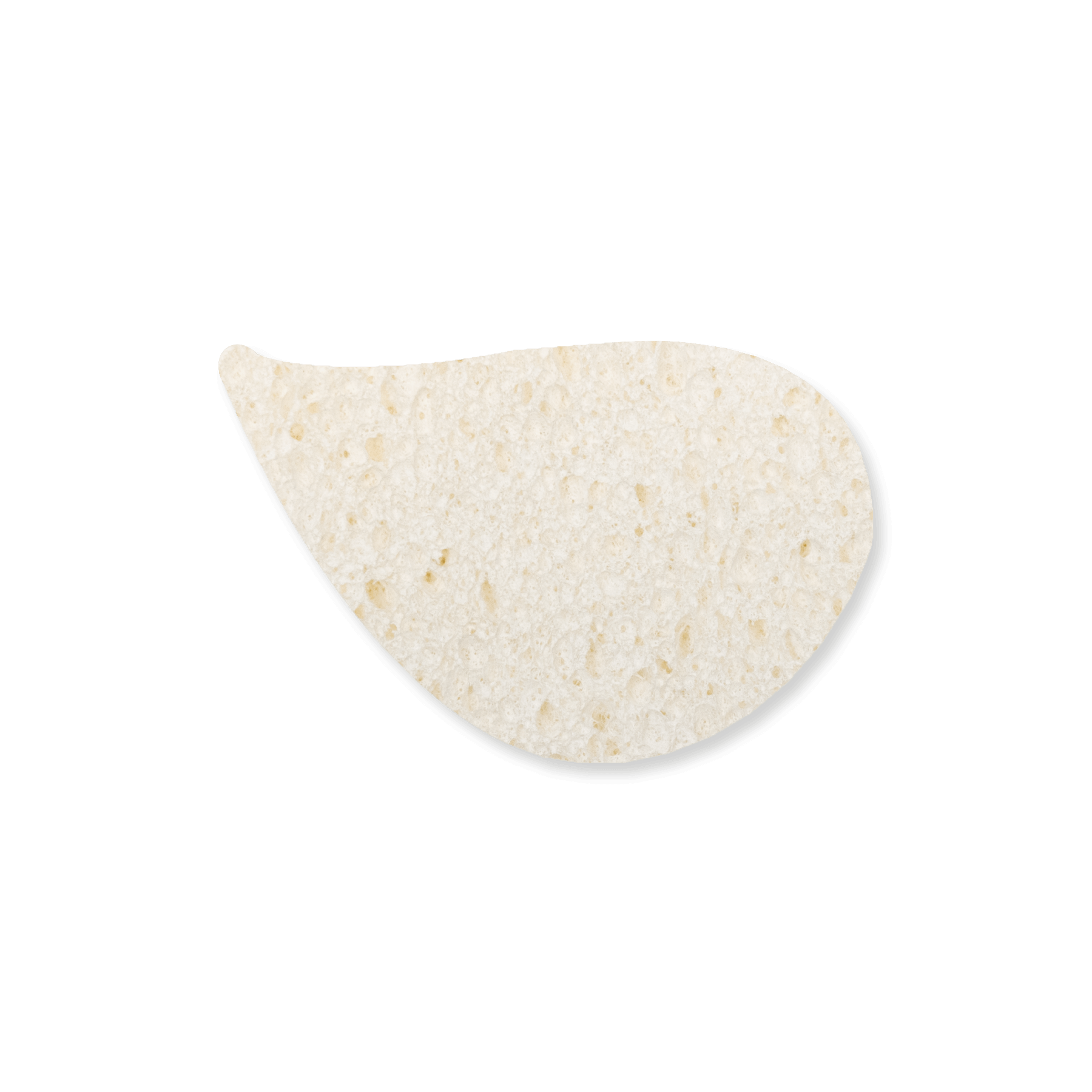 Expand-It Sponge - Leaf 4