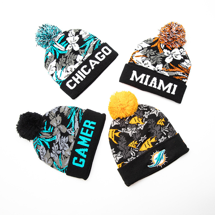 Winter Toque / Beanie 1