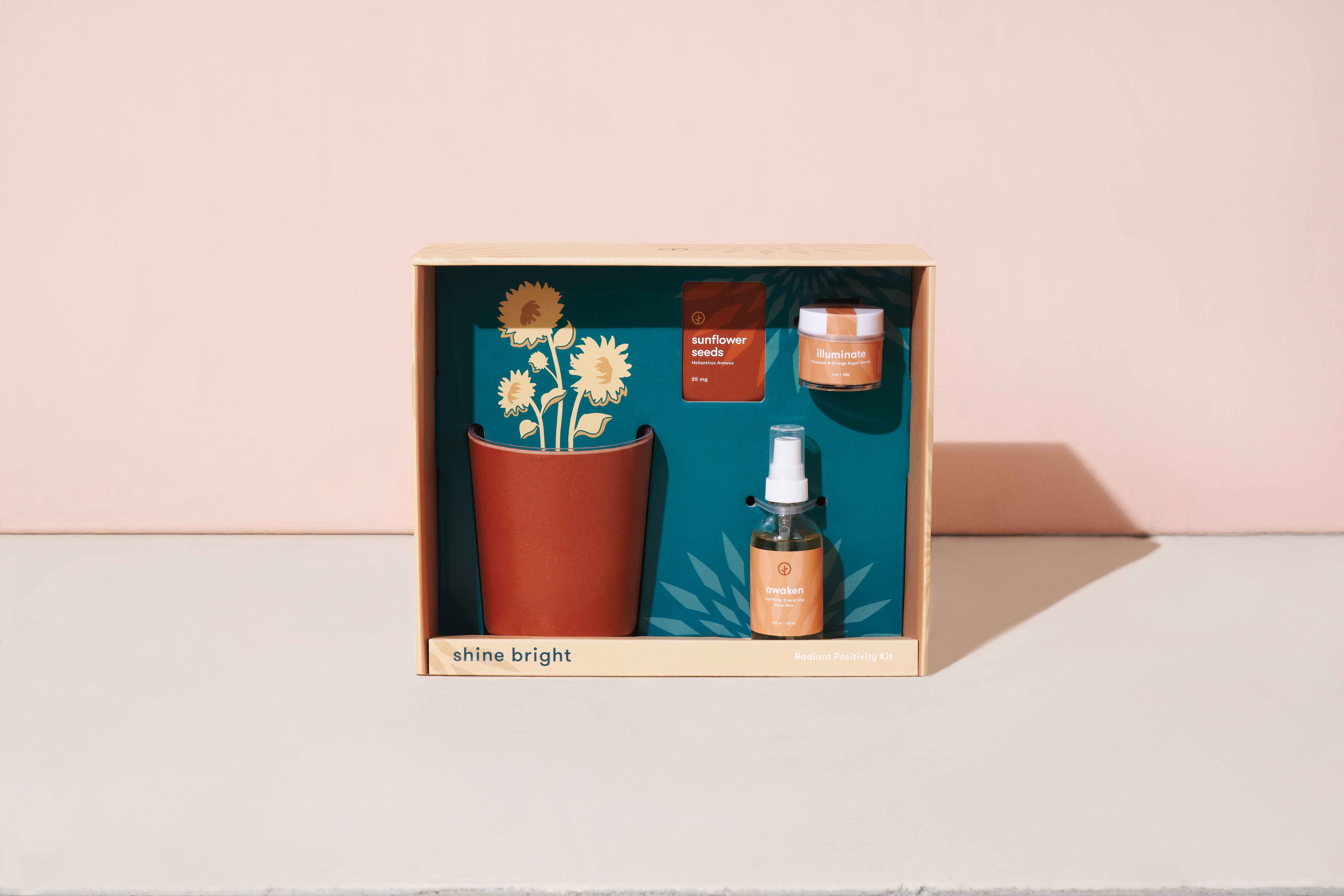 Modern Sprout® Shine Bright Take Care Kit - Sunflower 12