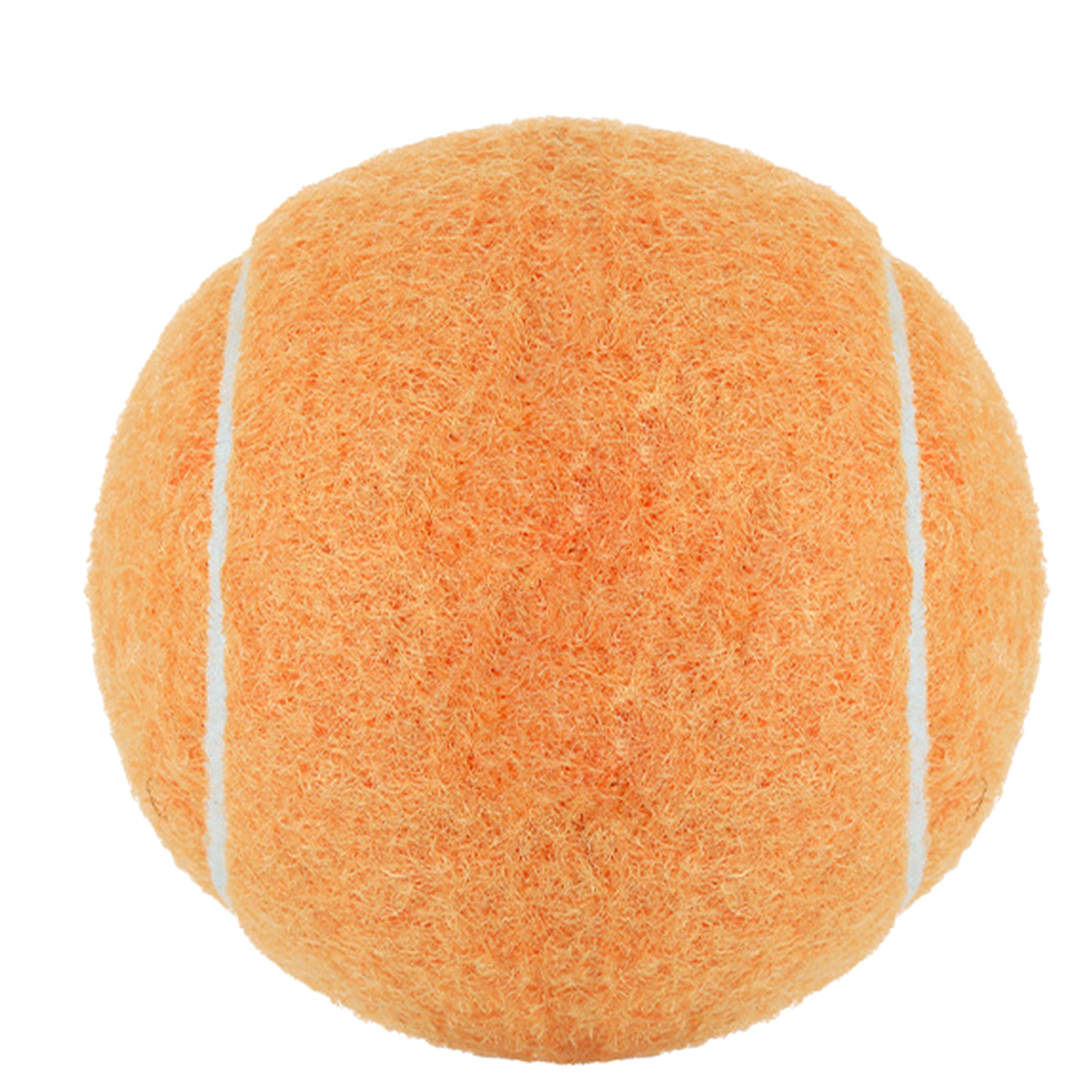 Customizable Dog Play Ball 9