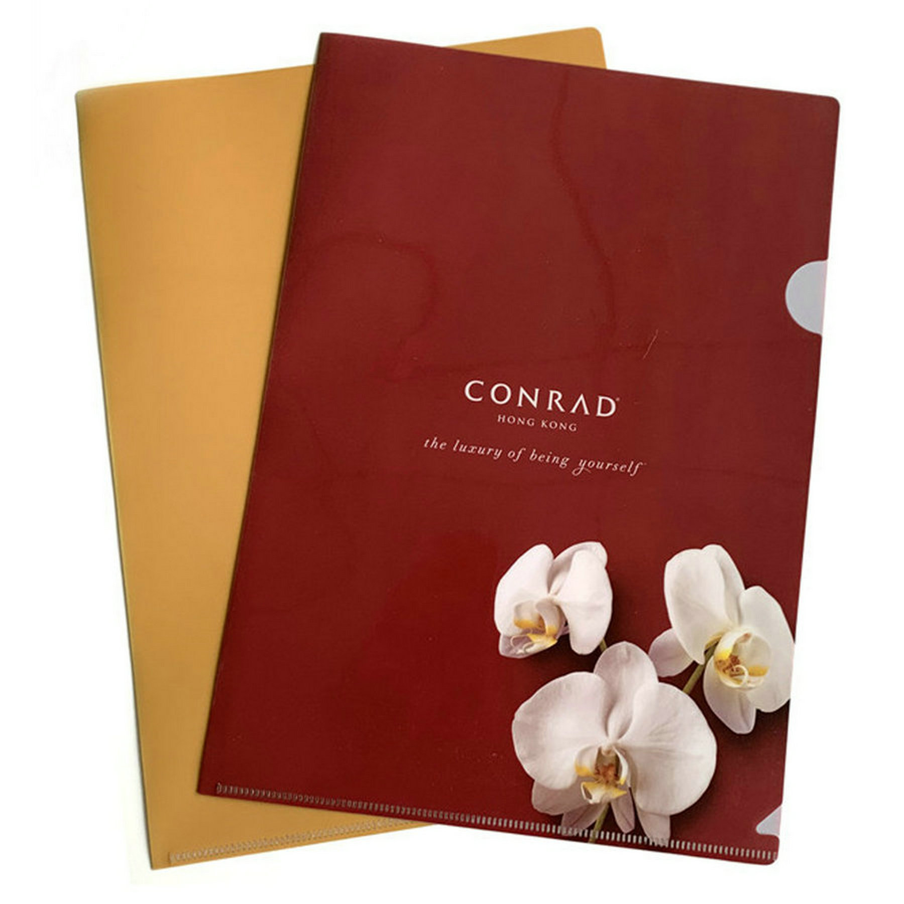 Clear Transparent L Shape Document Folder 2