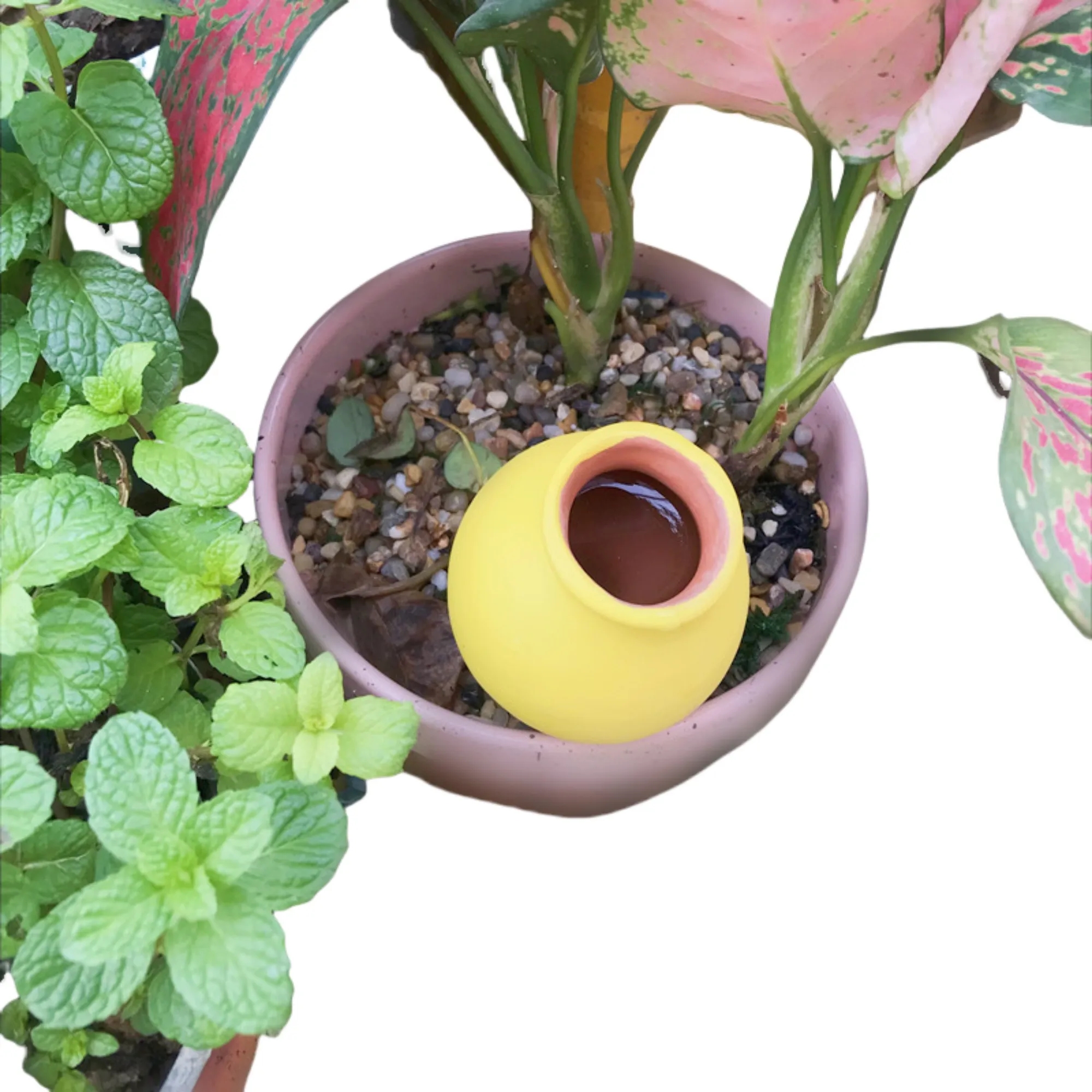 Premium Terracotta Plant Watering Globes 11