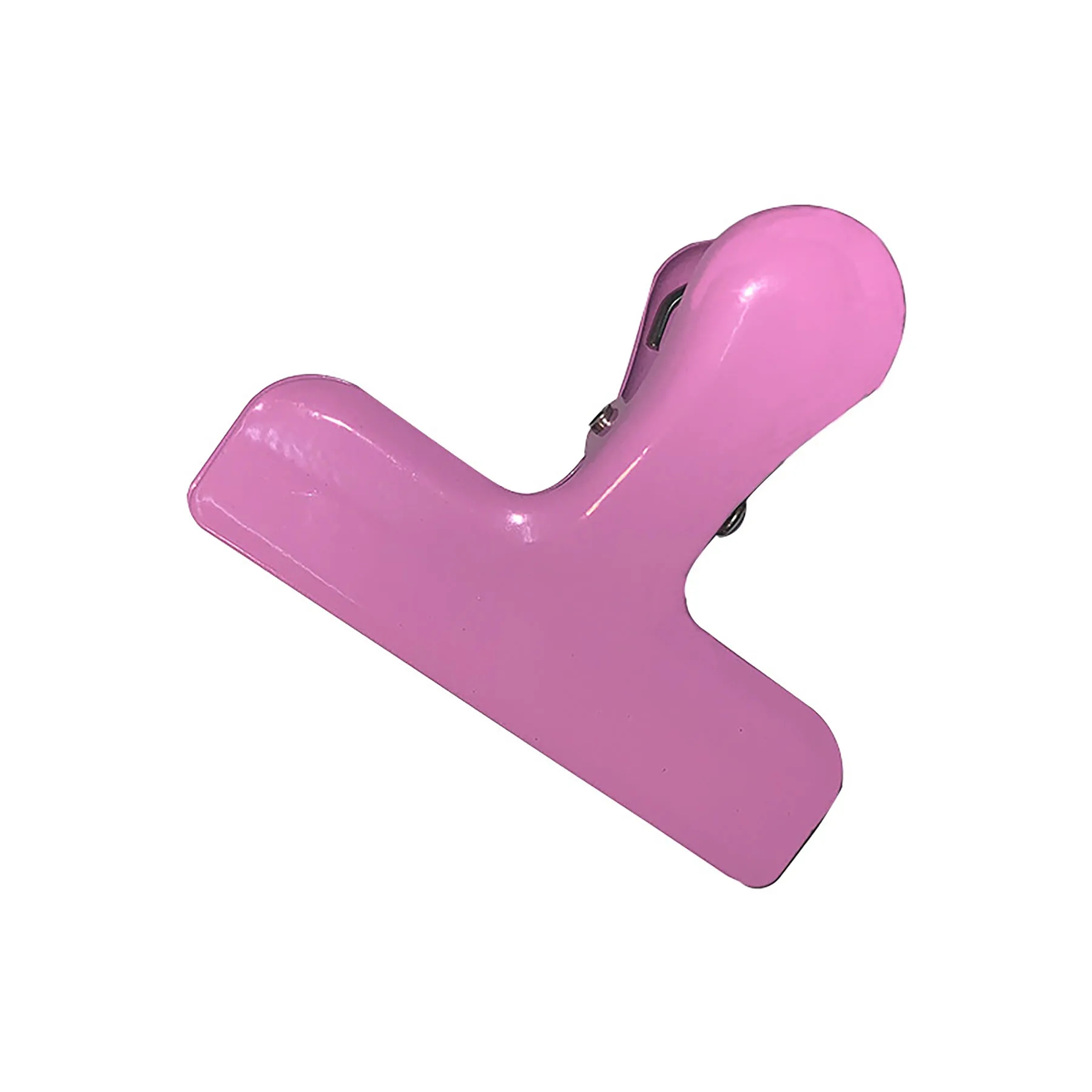 Stainless Steel  Clips 7
