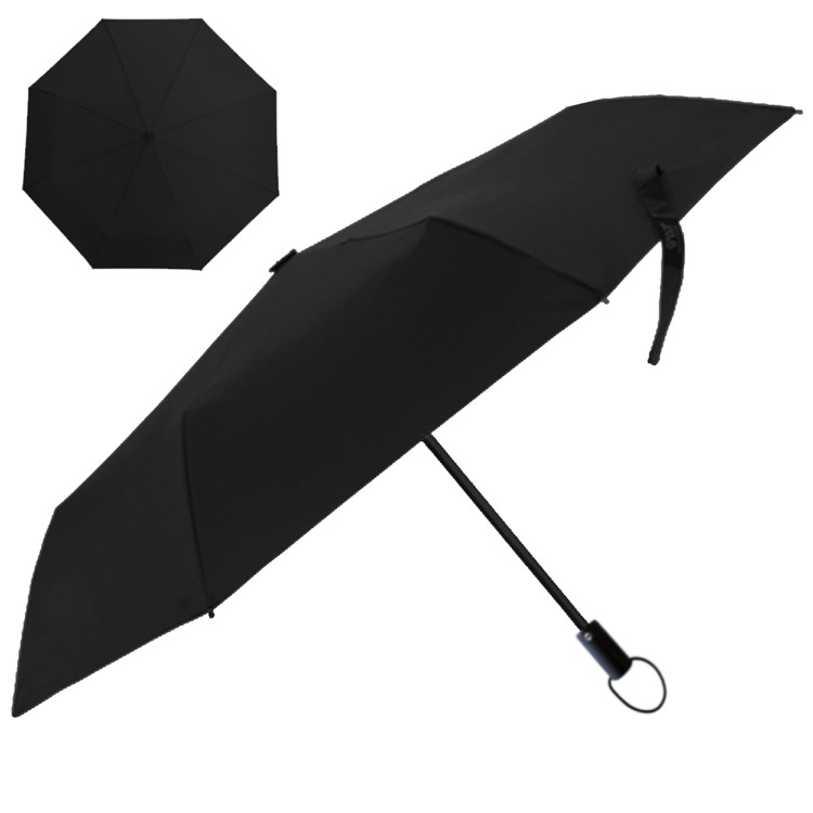 Windsor Umbrella 4