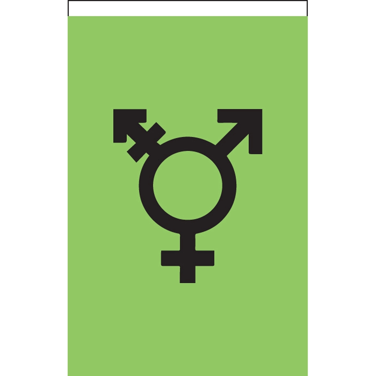 Israel Trans Deluxe Garden Flag 2