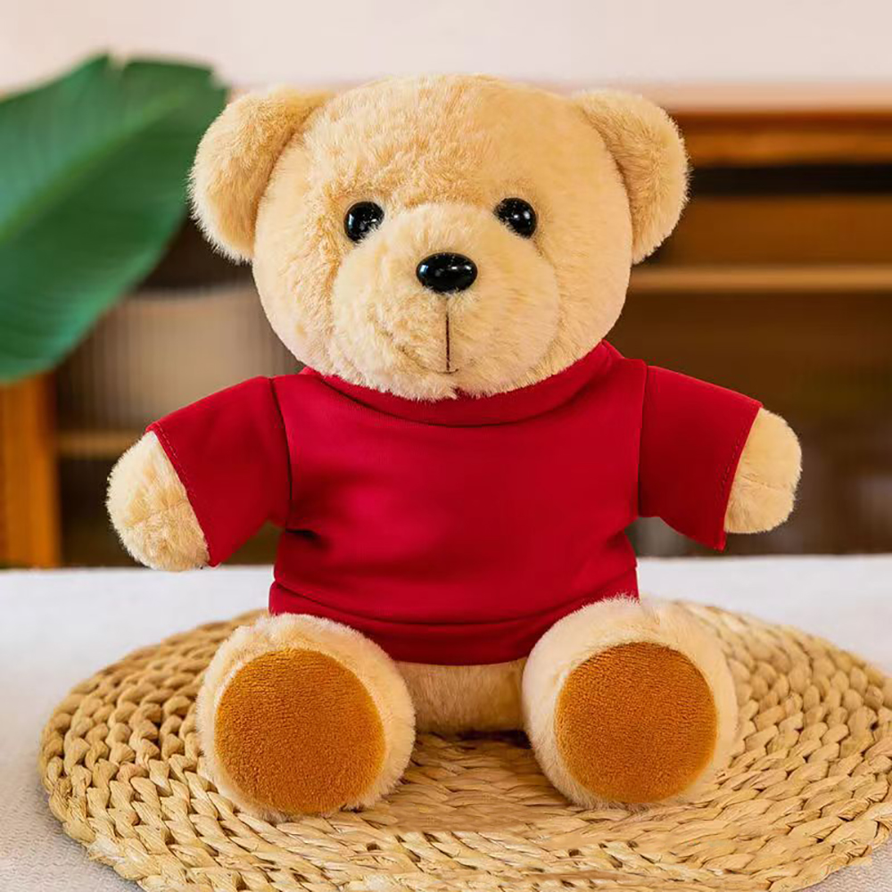 Plush Teddy Bear w/ T-Shirt 2