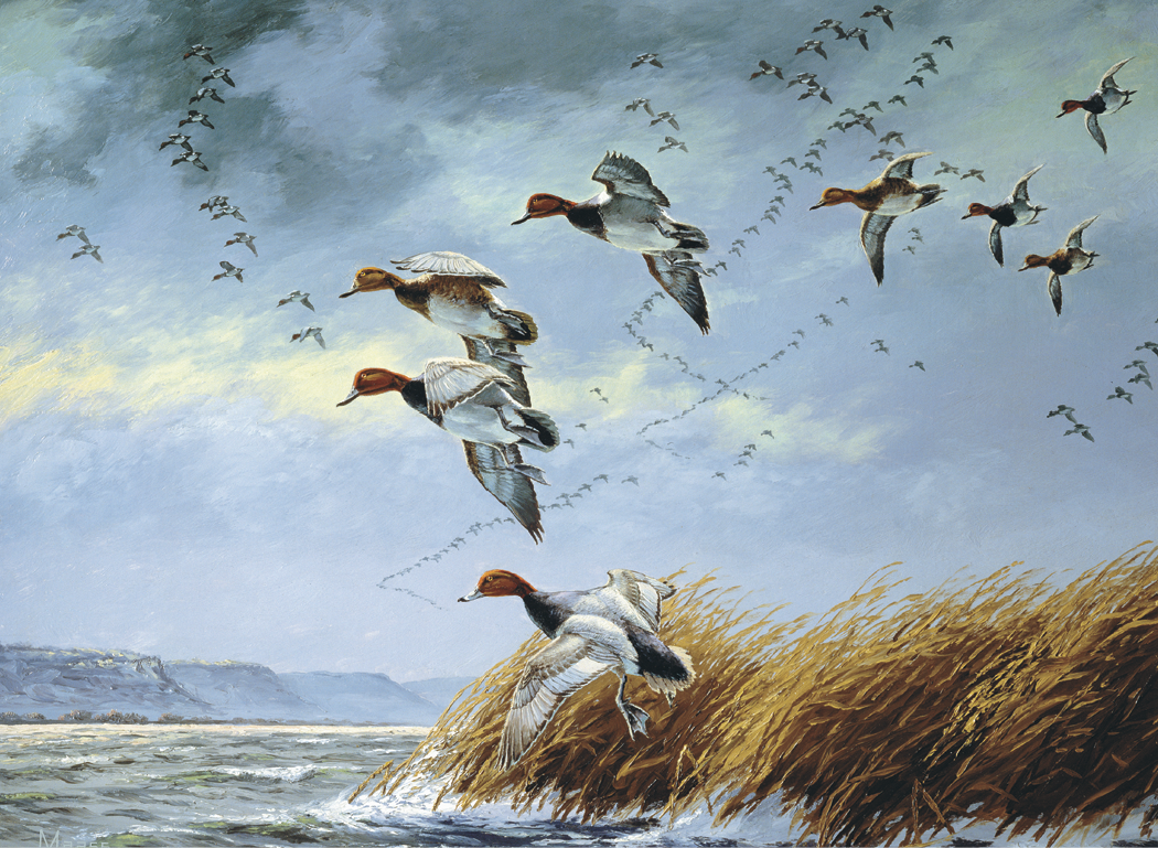 HotLine® Products Maass Wildfowl® Executive Calendar 28