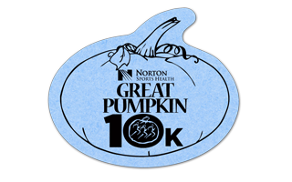 Pumpkin Compressed Sponge 11