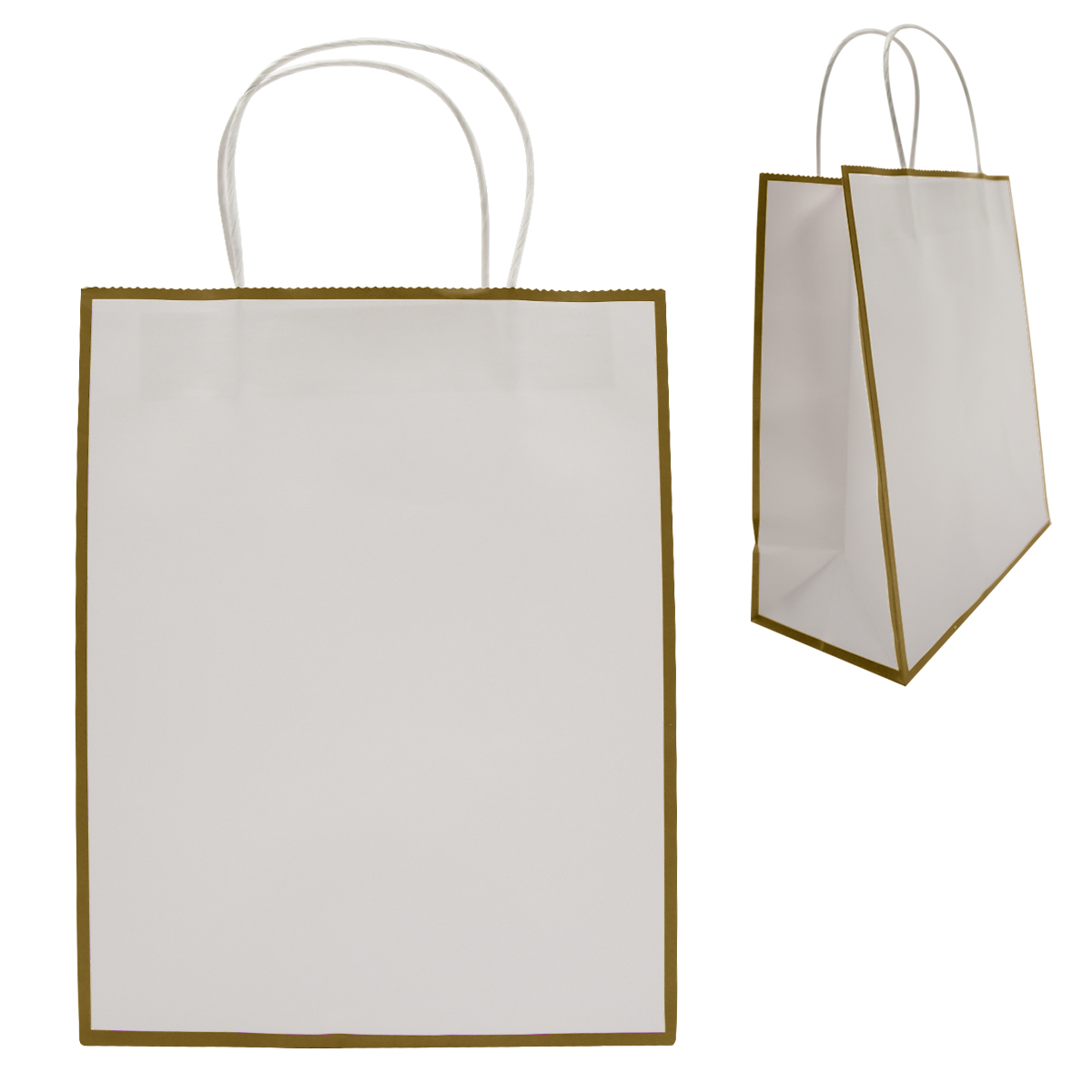 Laminated Paper Gift Bag 4