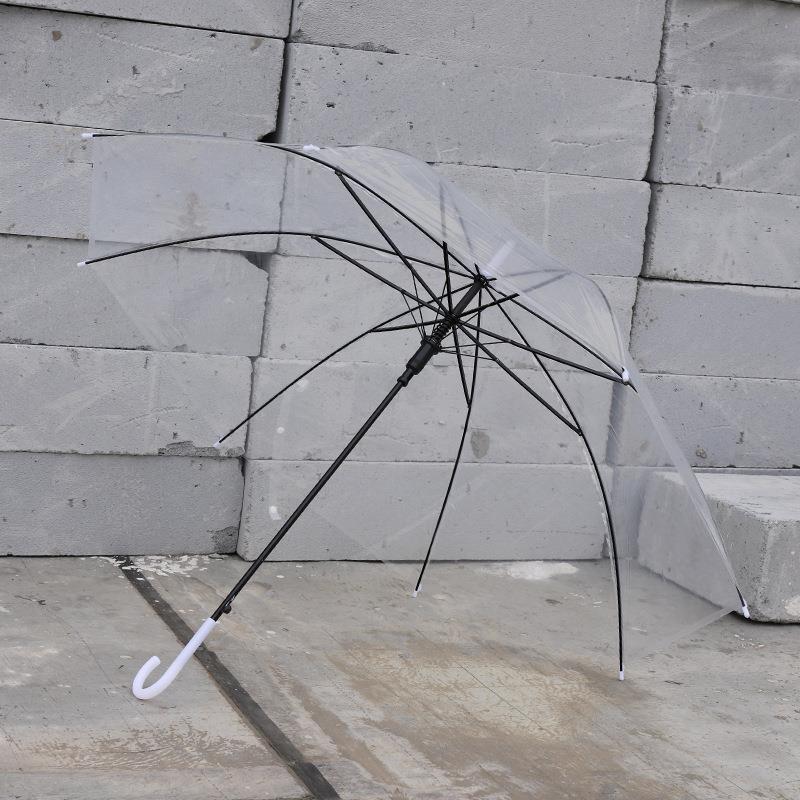 Clear Umbrella 1